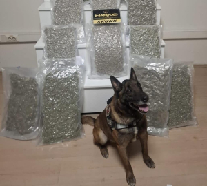 Narkotik Köpeği "Yaşa"dan kaçamadılar