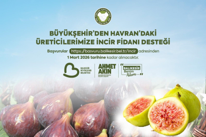 Büyükşehir, İncir Fidanı Dağıtımına Başlıyor