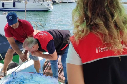 KÖRFEZDE BALIKÇILIĞA YAKIN TAKİP