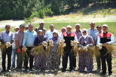 VALİ USTAOĞLU SARIMSAK HASADINA KATILDI