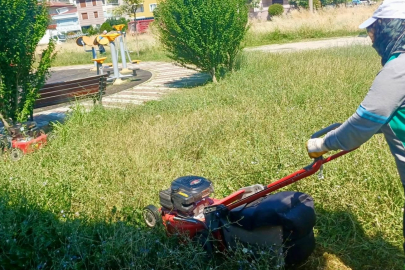 ALTIEYLÜL'DE EKİPLERDEN YOĞUN ÇALIŞMA