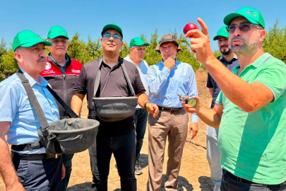 BALIKESİR'DE MODERN MEYVECİLİK YATIRIMLARI İNCELENDİ