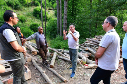 ALAÇAM DAĞLARI'NDA ORMANLAR MERCEK ALTINDA