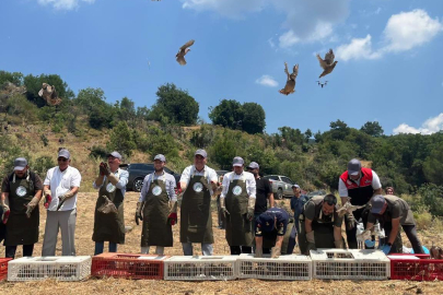 HAVRAN'DA DOĞAYA KEKLİK TAKVİYESİ