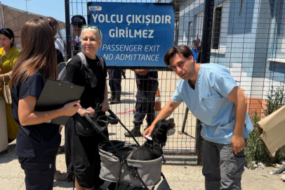 MARMARA ADALAR BELEDİYESİ'NDEN EVCİL HAYVAN SAHİPLERİNE ÖNEMLİ UYARI