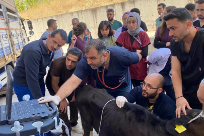 BALIKESİR ÜNİVERSİTESİ HAYVAN HASTANESİ BÖLGEYE ŞİFA DAĞITIYOR