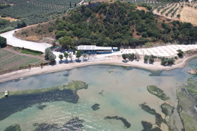 BANDIRMA'DA GÜNEŞ ENERJİLİ ŞİRİNÇAVUŞ TESİSİ AÇILIŞ İÇİN GÜN SAYIYOR