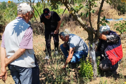 BALIKESİR’DE TARLA FARESİYLE MÜCADELE