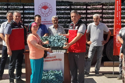 BALIKESİRLİ ÜRETİCİYE 210 BİN SEBZE FİDESİ DESTEĞİ