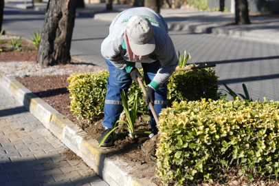 BURHANİYE’DE PARK VE YEŞİL ALANLARDA BAKIM ÇALIŞMALARI SÜRÜYOR