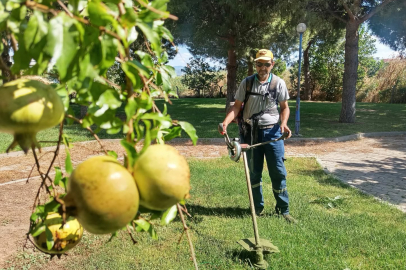 BURHANİYE’DE PARK VE YEŞİL ALANLARDA BAKIM ÇALIŞMALARI SÜRÜYOR