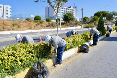 DAHA YEŞİL VE TEMİZ BURHANİYE İÇİN ÇALIŞMALAR SÜRÜYOR