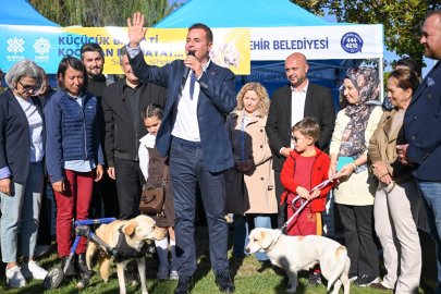 BALIKESİR, CAN DOSTLARA SAHİP ÇIKIYOR