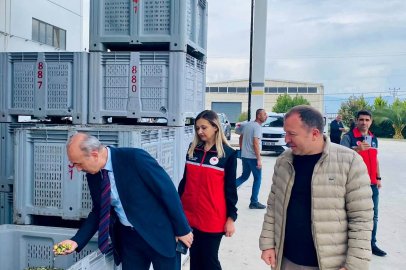 BURHANİYE’DE ZEYTİN VE HAYVANCILIK SEKTÖRÜNE YAKIN TAKİP!